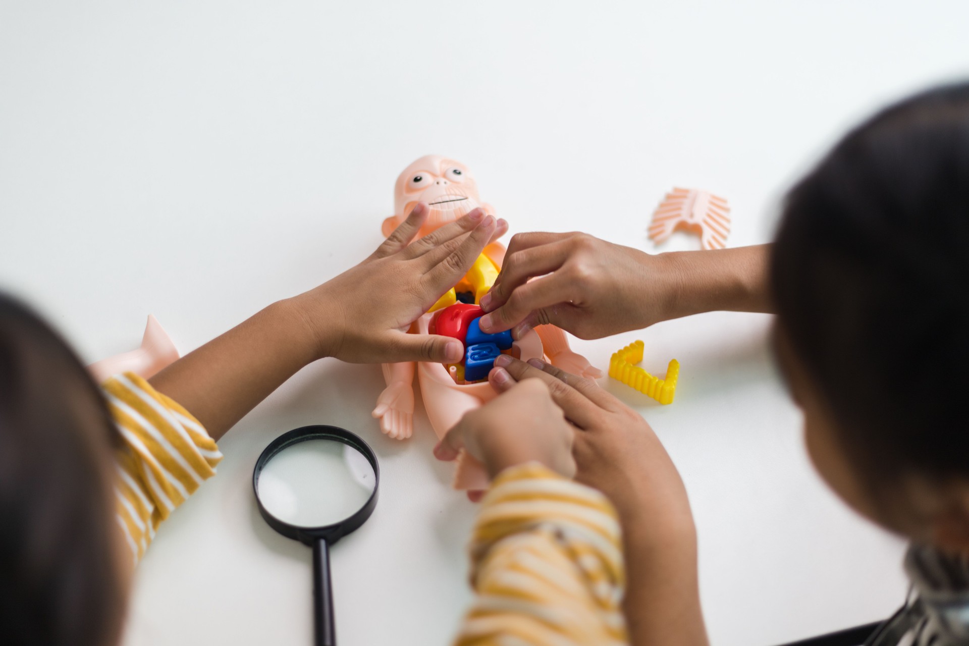 STEAM Afterschool Interest Club Playgroup Learning Fresh Mont Kiara Damansara Heights