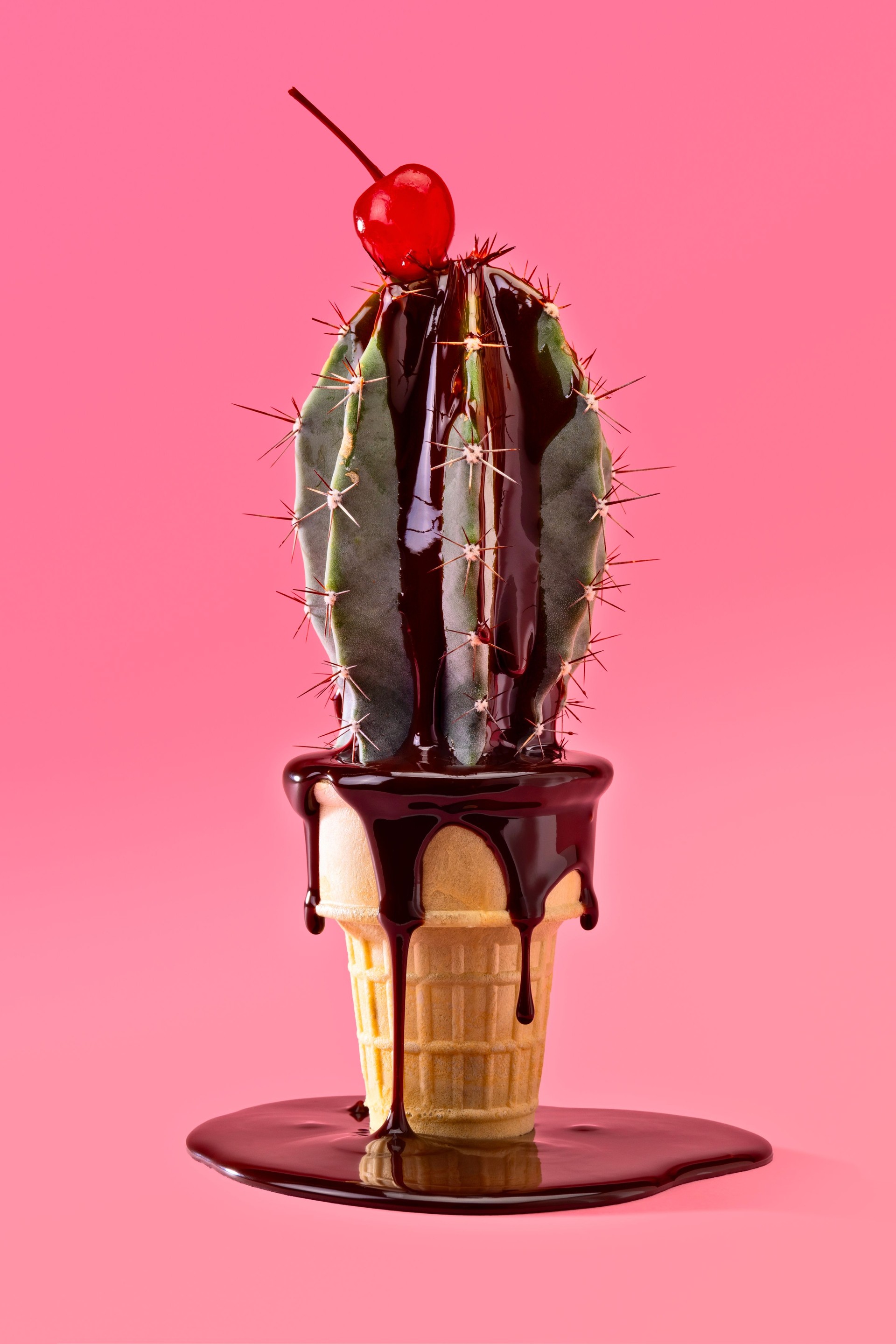 Cactus in a Ice Cream Cone on Pink Background Pop Art Food with Chocolate Sauce Dripping