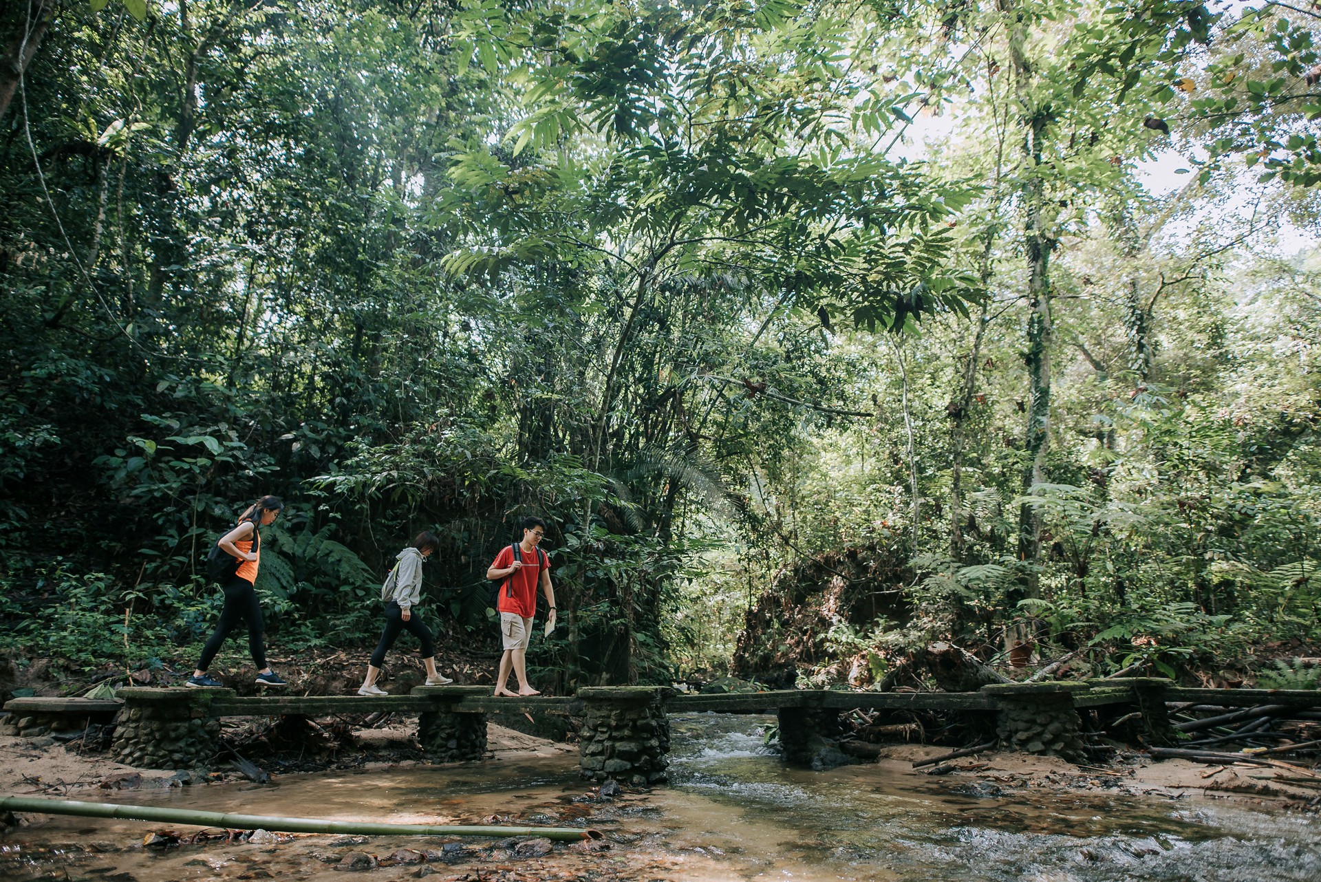 Friends on an experiential wanderbloom learning journey