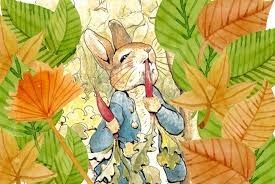 Creative Writing Workshop: The Tale of Peter Rabbit!